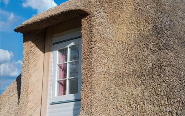 Top Green thatch roof disadvantages
