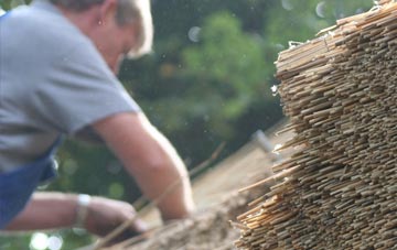 professional Top Green thatchers